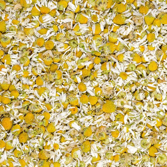 Chamomile